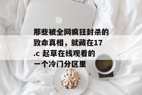 那些被全网疯狂封杀的致命真相，就藏在17.c 起草在线观看的一个冷门分区里